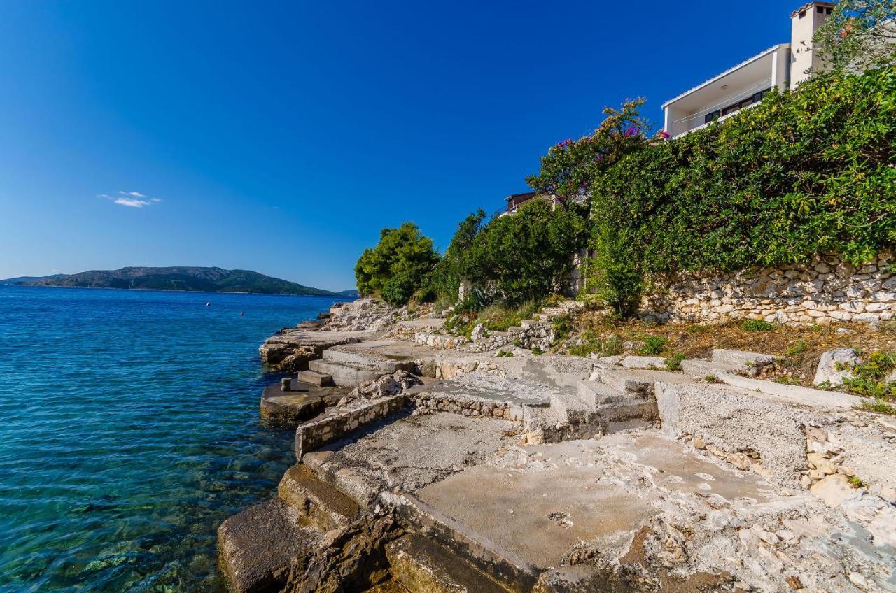 House Zdenka Villa Donji Okrug  Eksteriør bilde